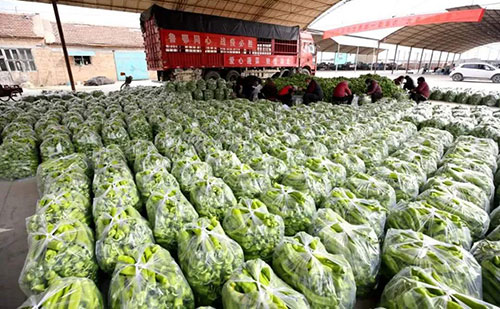 我是湖南長沙蔬菜批發(fā)市場，買多少錢的農(nóng)藥殘留檢測儀合適？