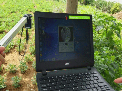 植物冠層圖像分析儀可以測量什么？